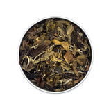 White Peony (Bai Mu Dan)