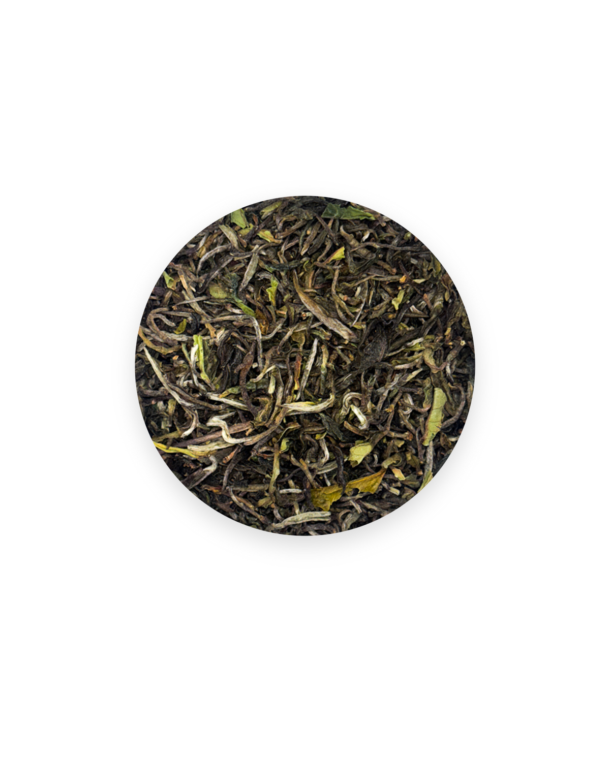 Darjeeling First Flush