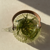 Verveine du Soir