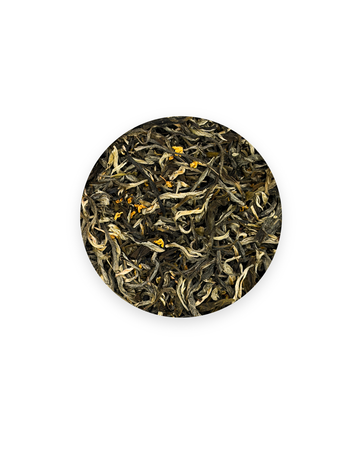 Golden Osmanthus