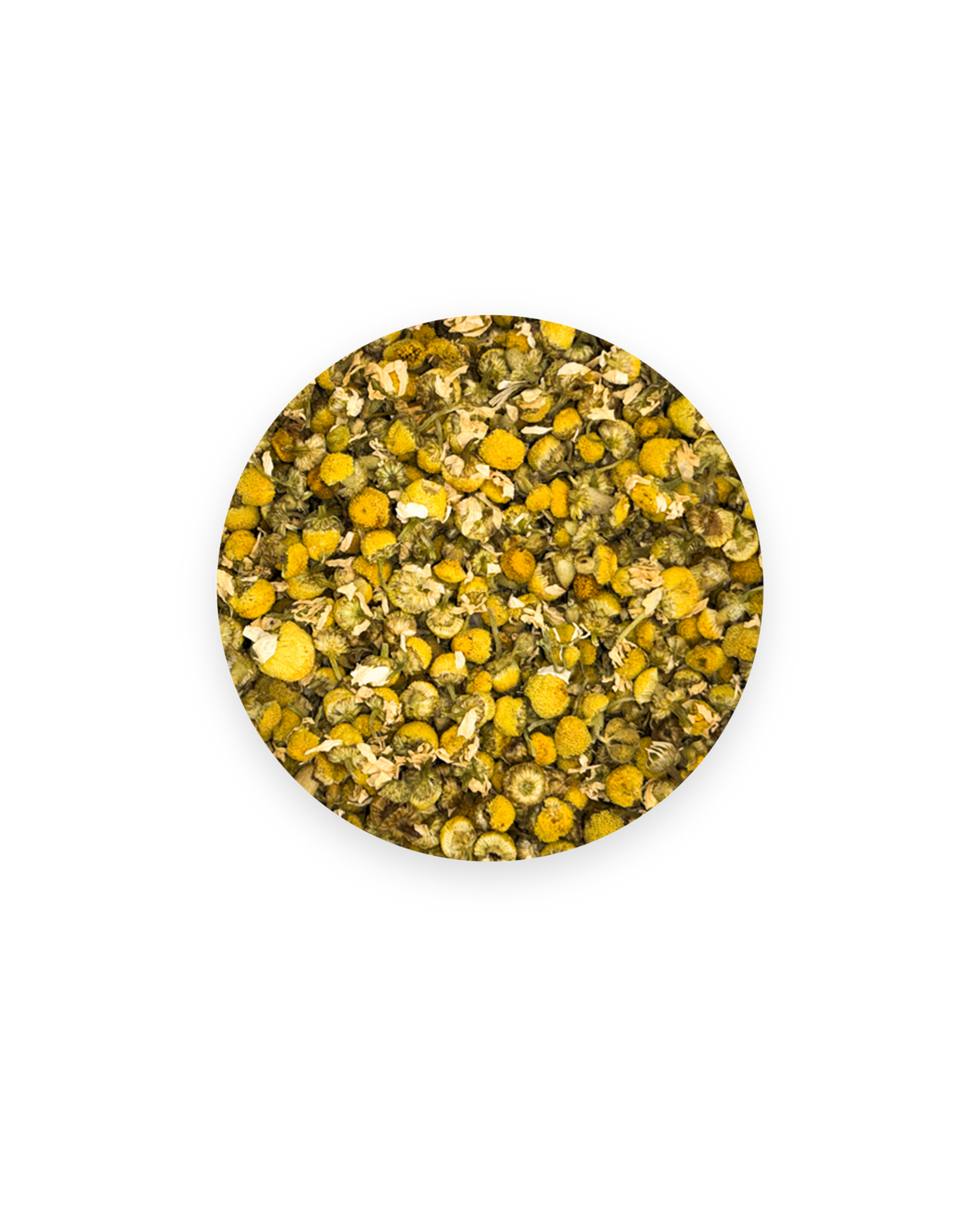 Camomille