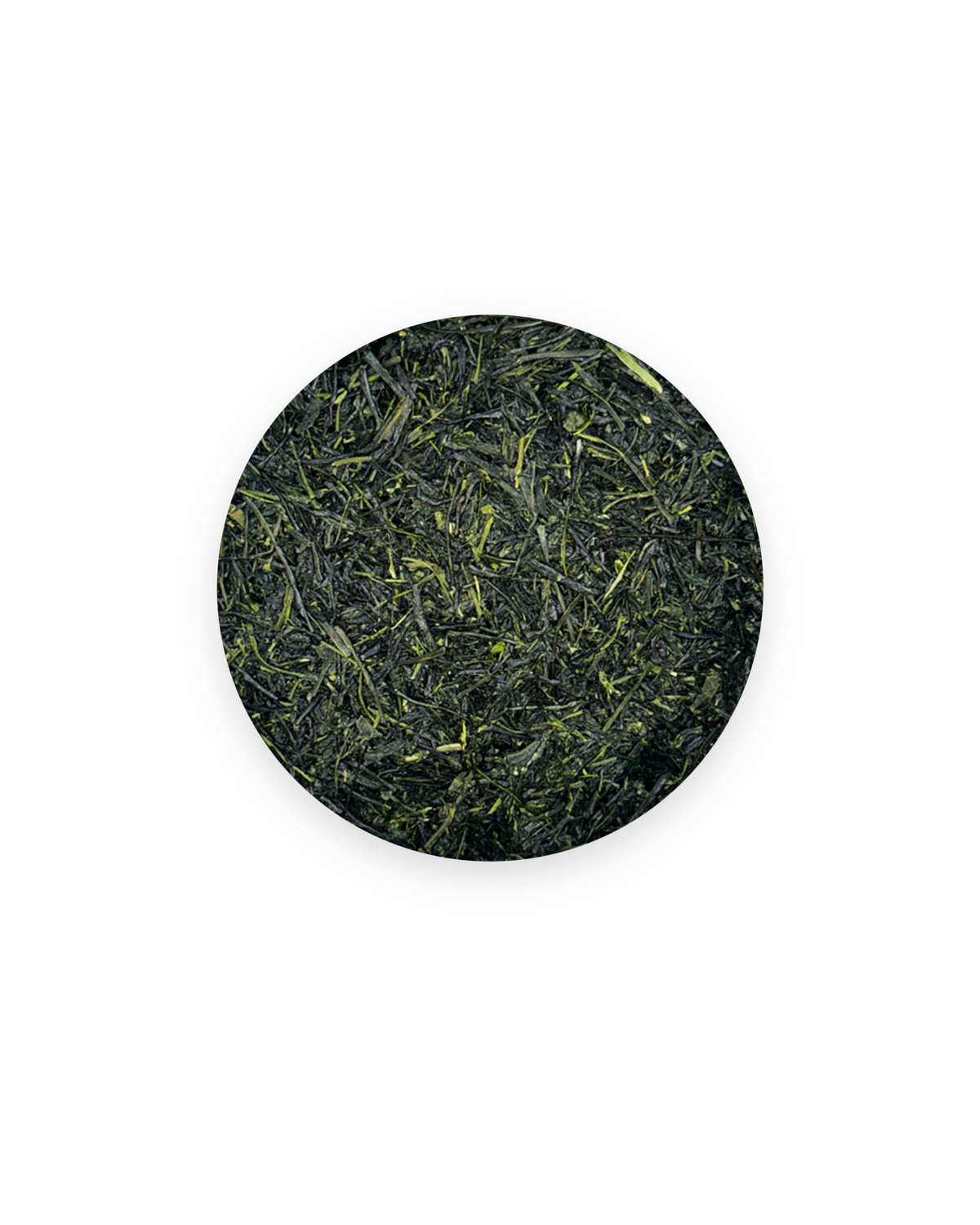 Sencha UMAMI