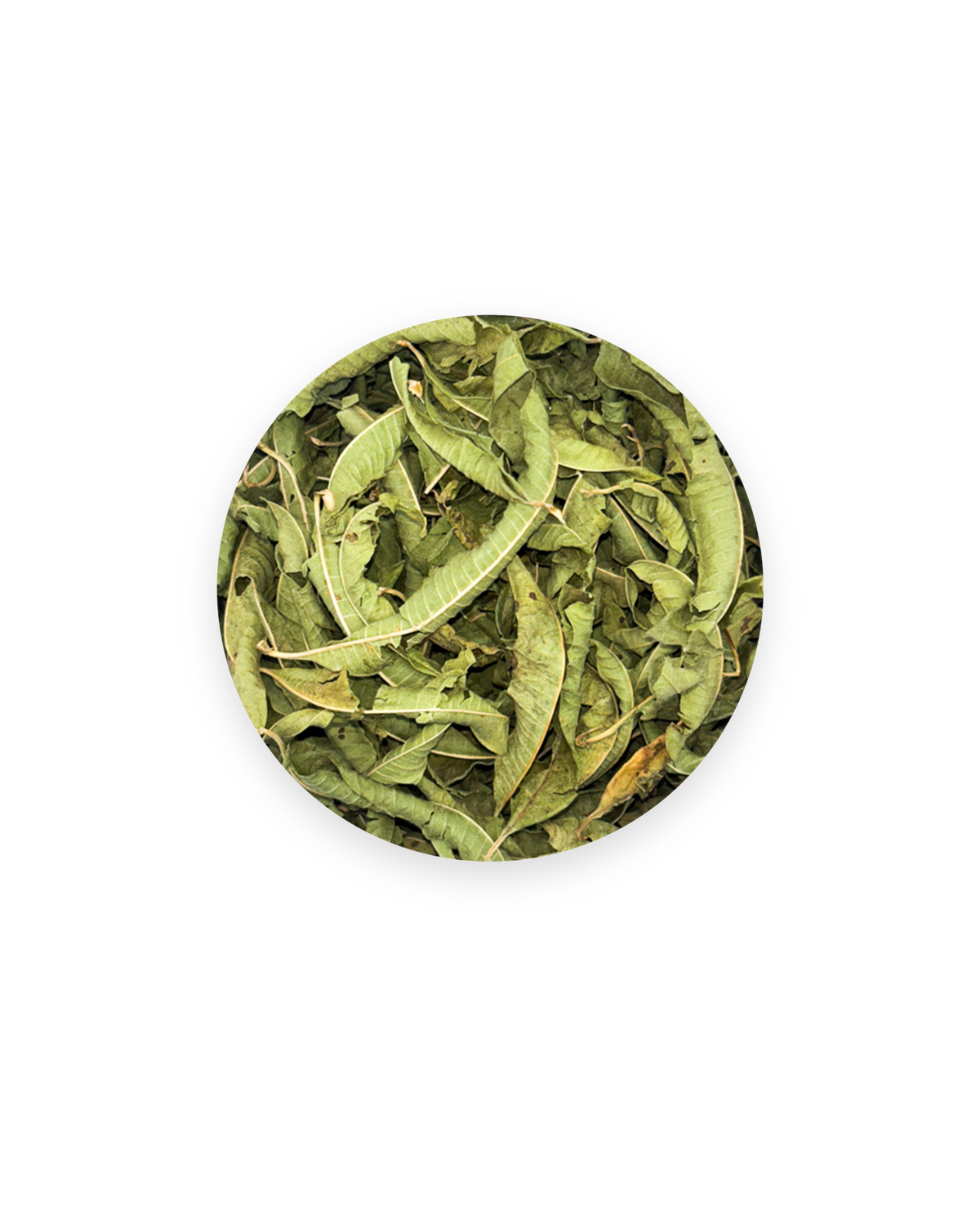 Verveine du Soir